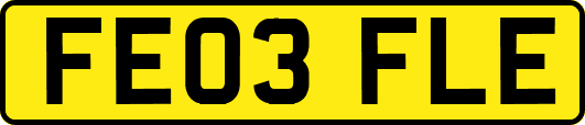 FE03FLE