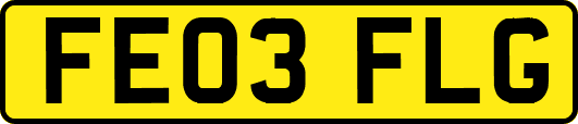 FE03FLG