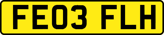 FE03FLH