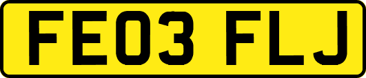 FE03FLJ