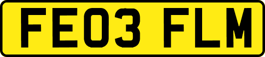 FE03FLM