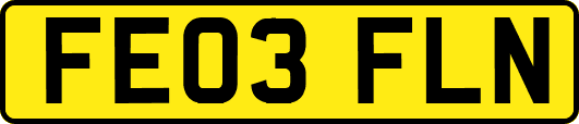 FE03FLN