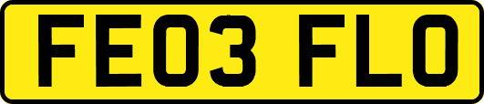 FE03FLO