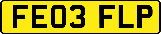 FE03FLP