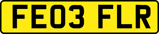 FE03FLR