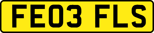 FE03FLS