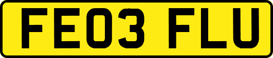 FE03FLU