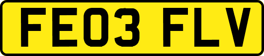 FE03FLV
