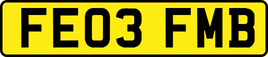 FE03FMB