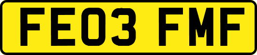 FE03FMF