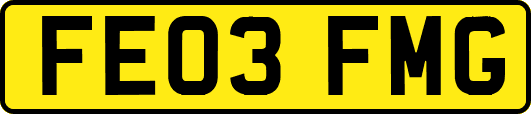 FE03FMG
