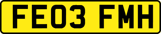 FE03FMH