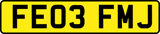 FE03FMJ