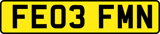 FE03FMN