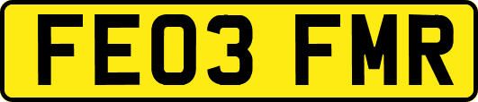 FE03FMR