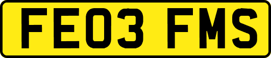 FE03FMS
