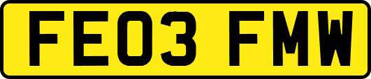 FE03FMW