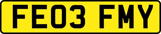 FE03FMY