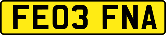 FE03FNA