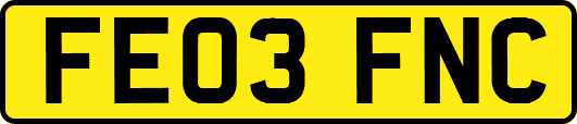 FE03FNC