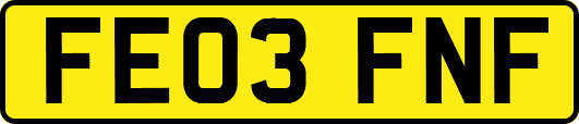 FE03FNF