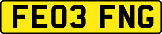 FE03FNG