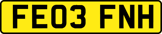 FE03FNH