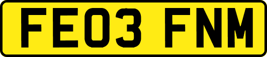 FE03FNM