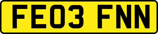 FE03FNN