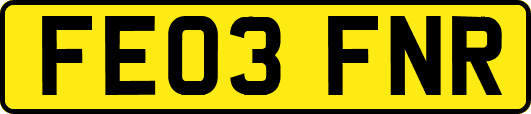 FE03FNR