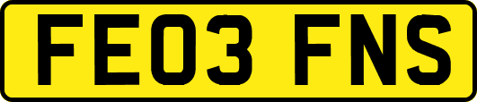 FE03FNS