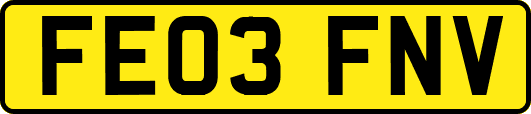 FE03FNV