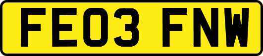 FE03FNW