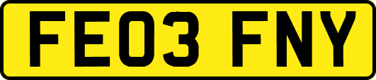 FE03FNY