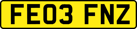 FE03FNZ