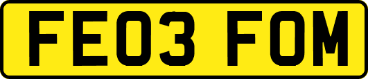 FE03FOM