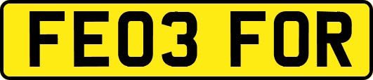 FE03FOR