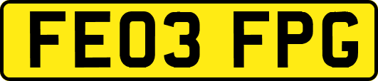FE03FPG