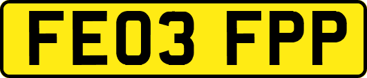 FE03FPP