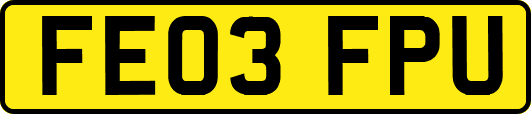 FE03FPU