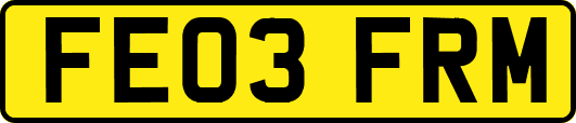 FE03FRM