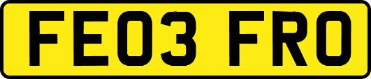 FE03FRO
