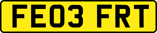 FE03FRT