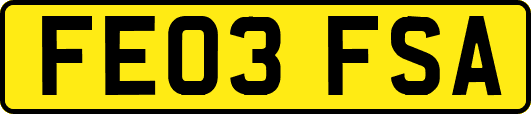 FE03FSA