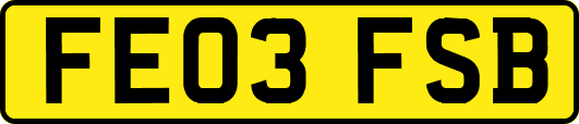 FE03FSB