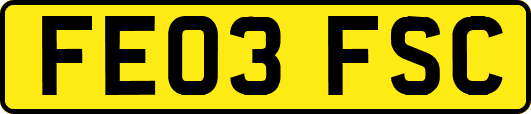 FE03FSC