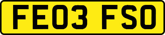 FE03FSO