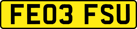 FE03FSU