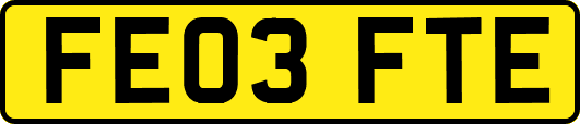 FE03FTE