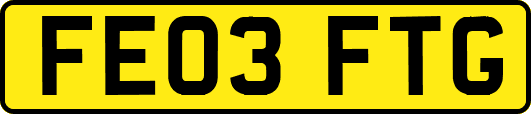 FE03FTG
